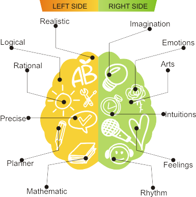 DMIT Test and Mid Brain Activations, By Team 360 Nepal